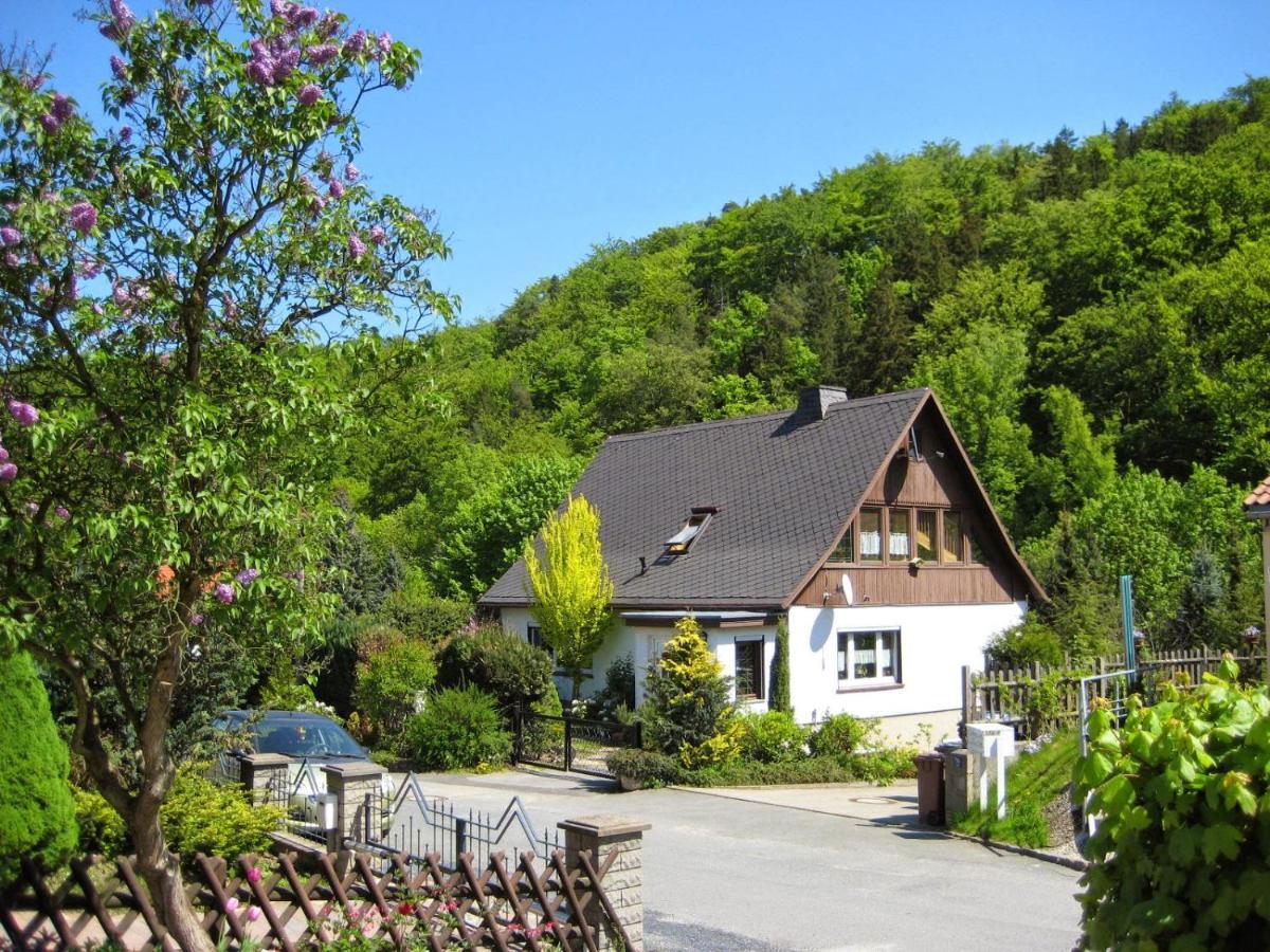 Haus Am Waldrand Apartment Freital Luaran gambar