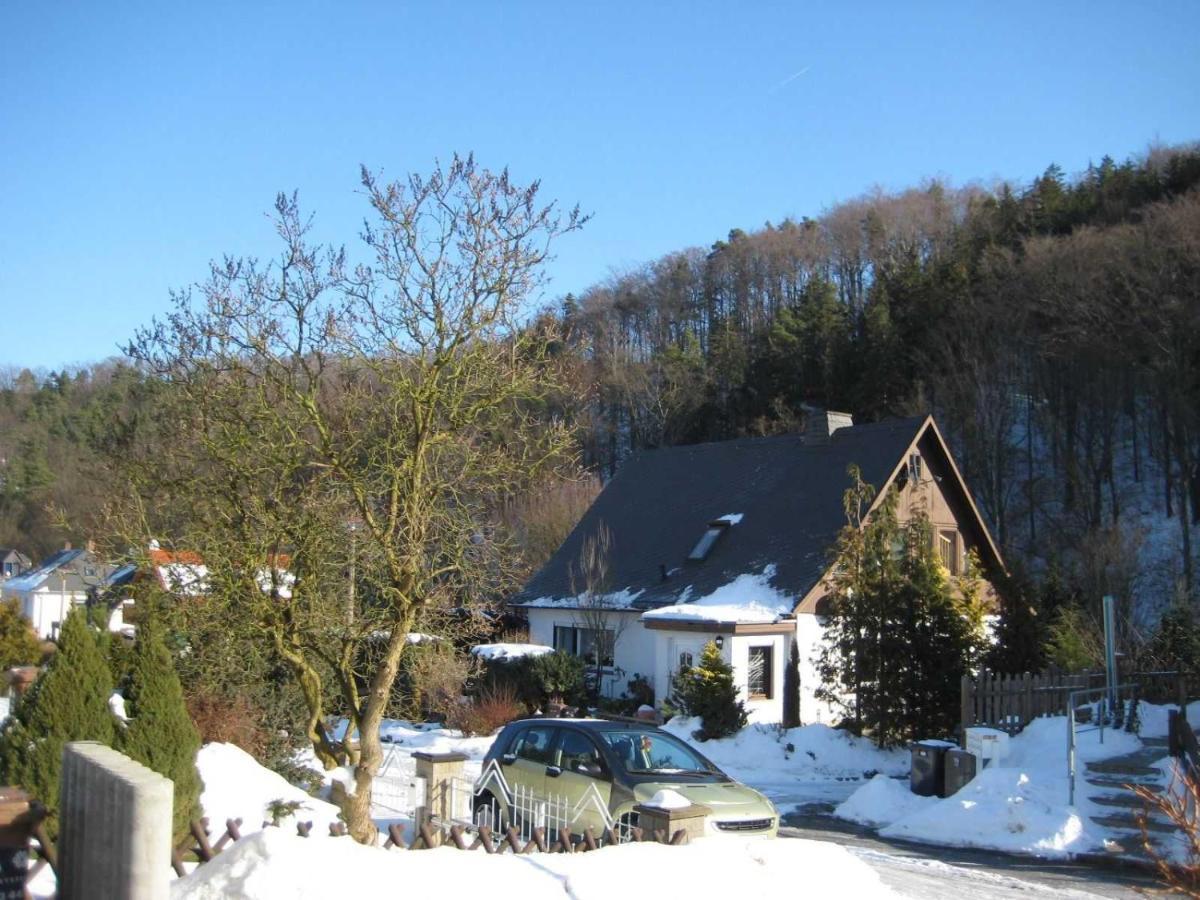 Haus Am Waldrand Apartment Freital Luaran gambar