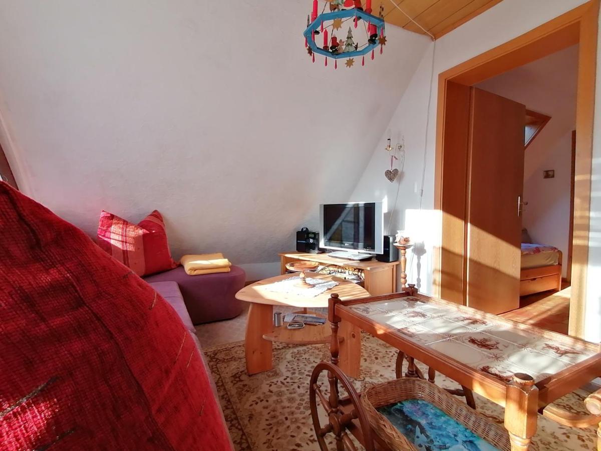 Haus Am Waldrand Apartment Freital Luaran gambar