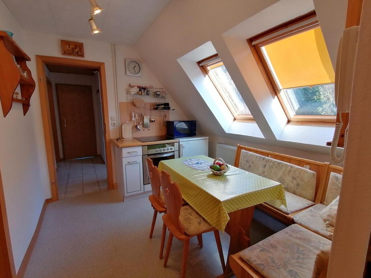 Haus Am Waldrand Apartment Freital Luaran gambar
