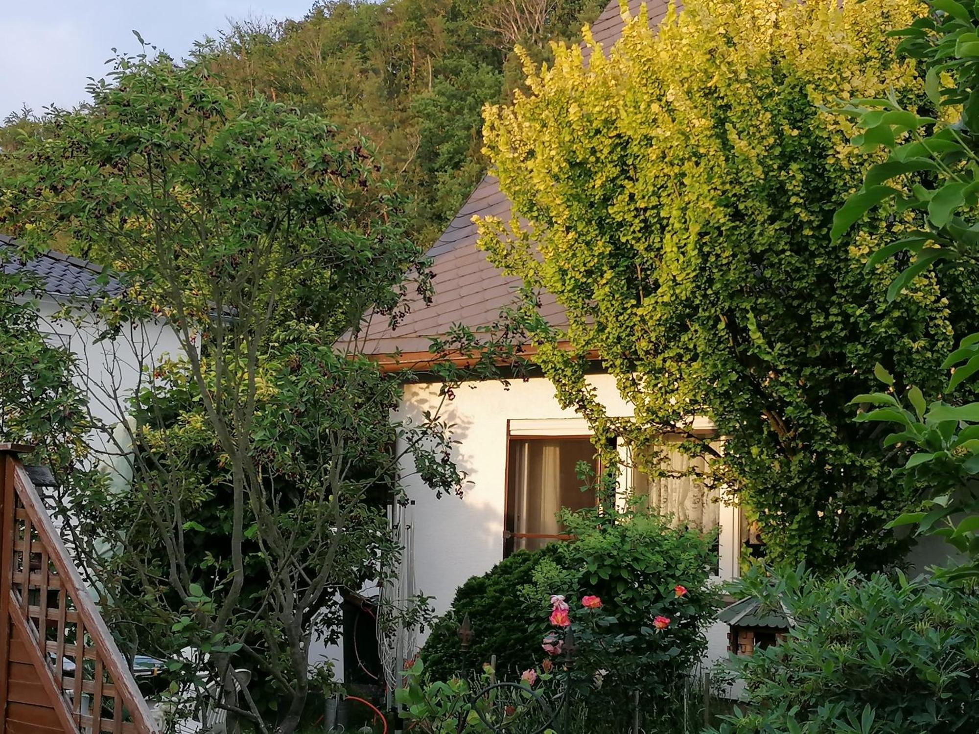 Haus Am Waldrand Apartment Freital Luaran gambar
