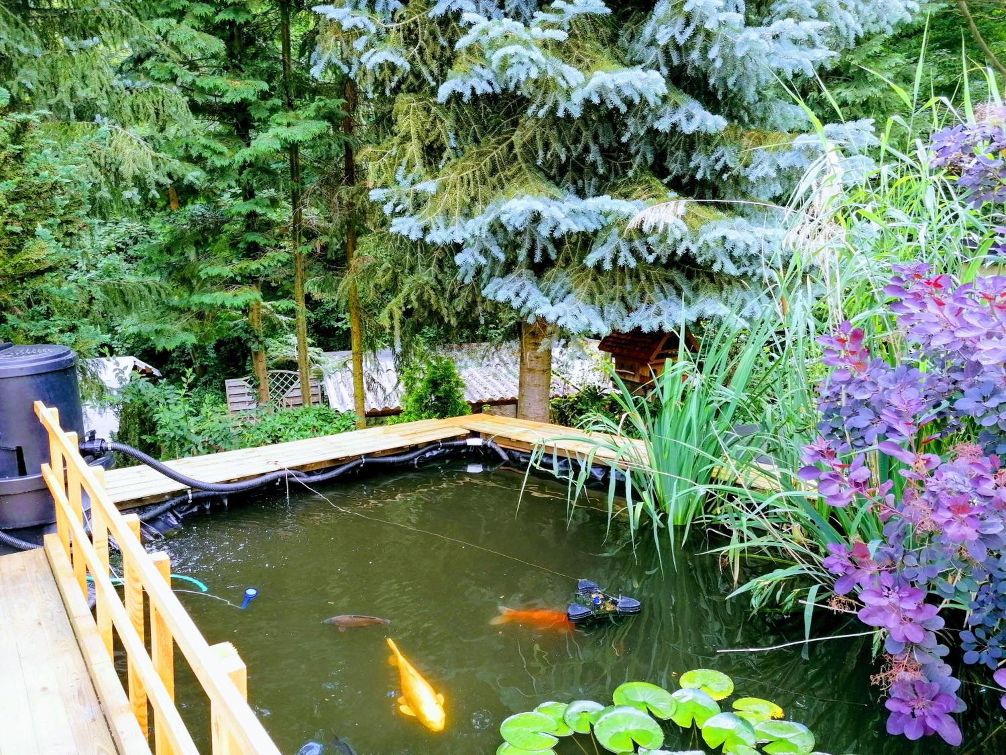 Haus Am Waldrand Apartment Freital Luaran gambar